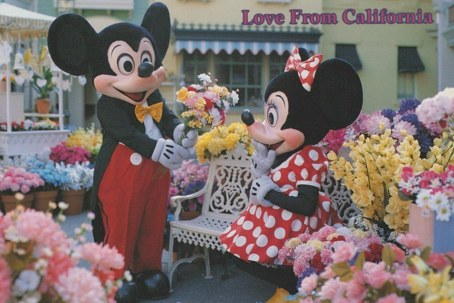 Disney & Mickey Mouse Postcard Collection 40 Cards ZAYIX