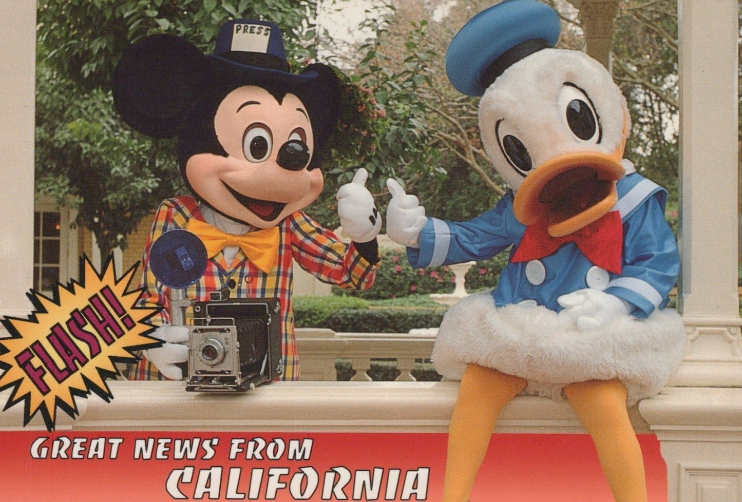 Disney & Mickey Mouse Postcard Collection 40 Cards ZAYIX