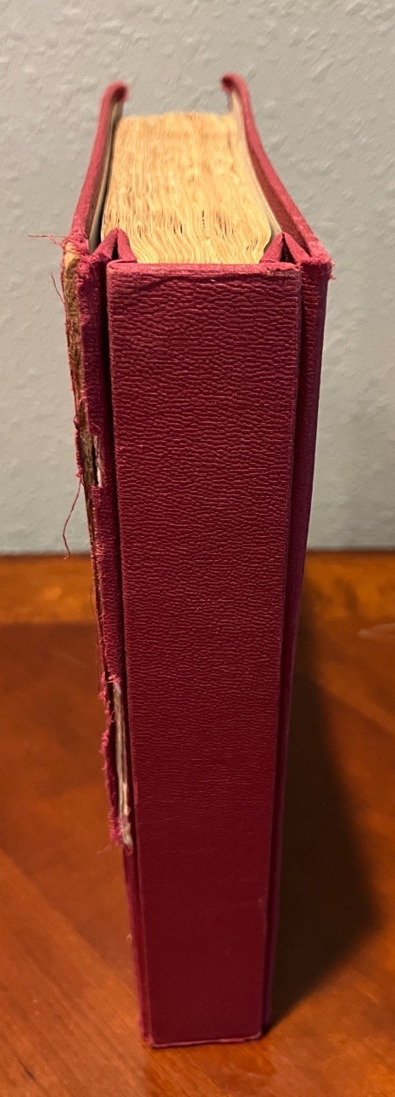 World Wide Postage Stamp Collection Album Hundreds of Stamps Used ZAYIX