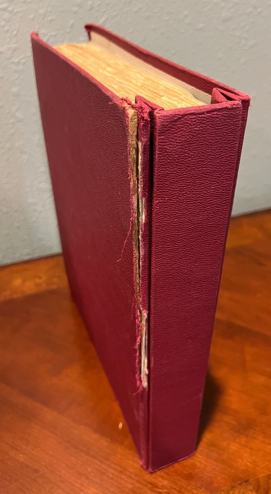 World Wide Postage Stamp Collection Album Hundreds of Stamps Used ZAYIX