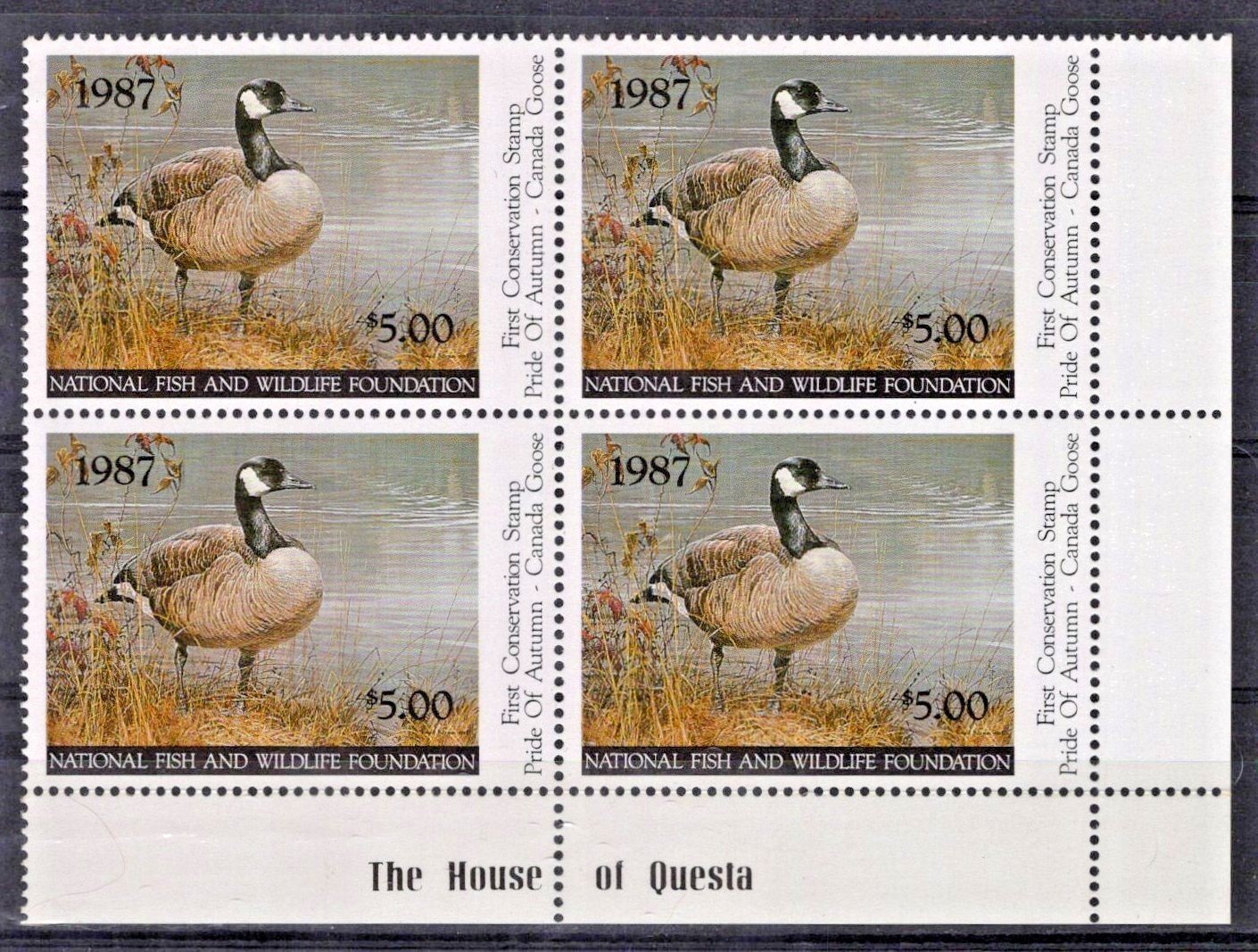 National Fish & Wildlife Foundation Block NFWF1 MNH $5 1987 Canada Goose ZAYIX