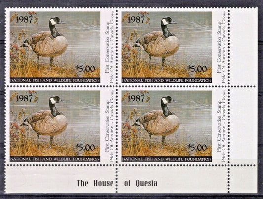 National Fish & Wildlife Foundation Block NFWF1 MNH $5 1987 Canada Goose ZAYIX