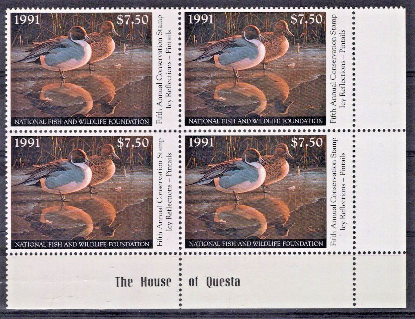 National Fish & Wildlife Inscription Block NFWF5 MNH 1991 $7.50 Pintails ZAYIX