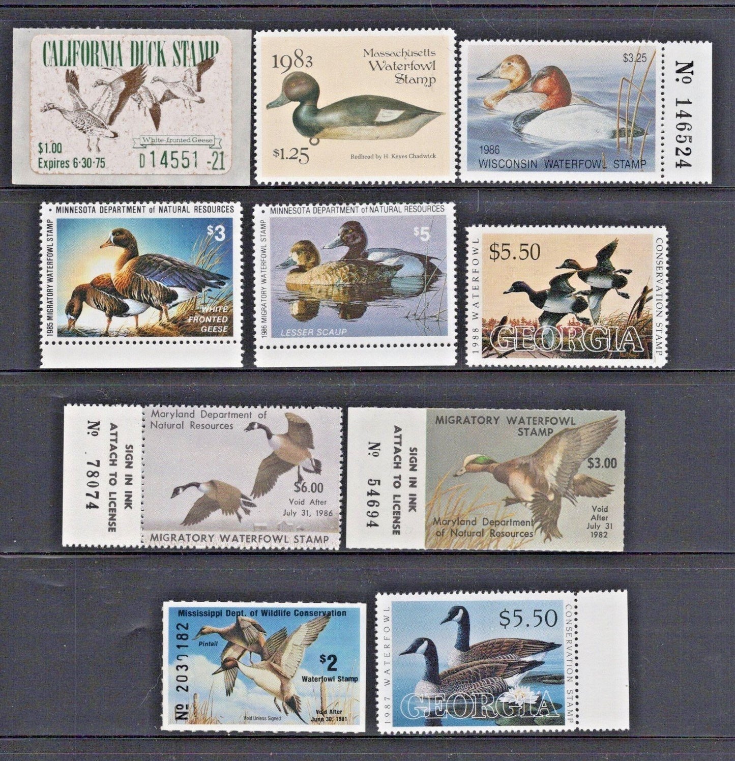 State Duck Stamps MNH 10 Different Stamps $59 Retail Value ZAYIX