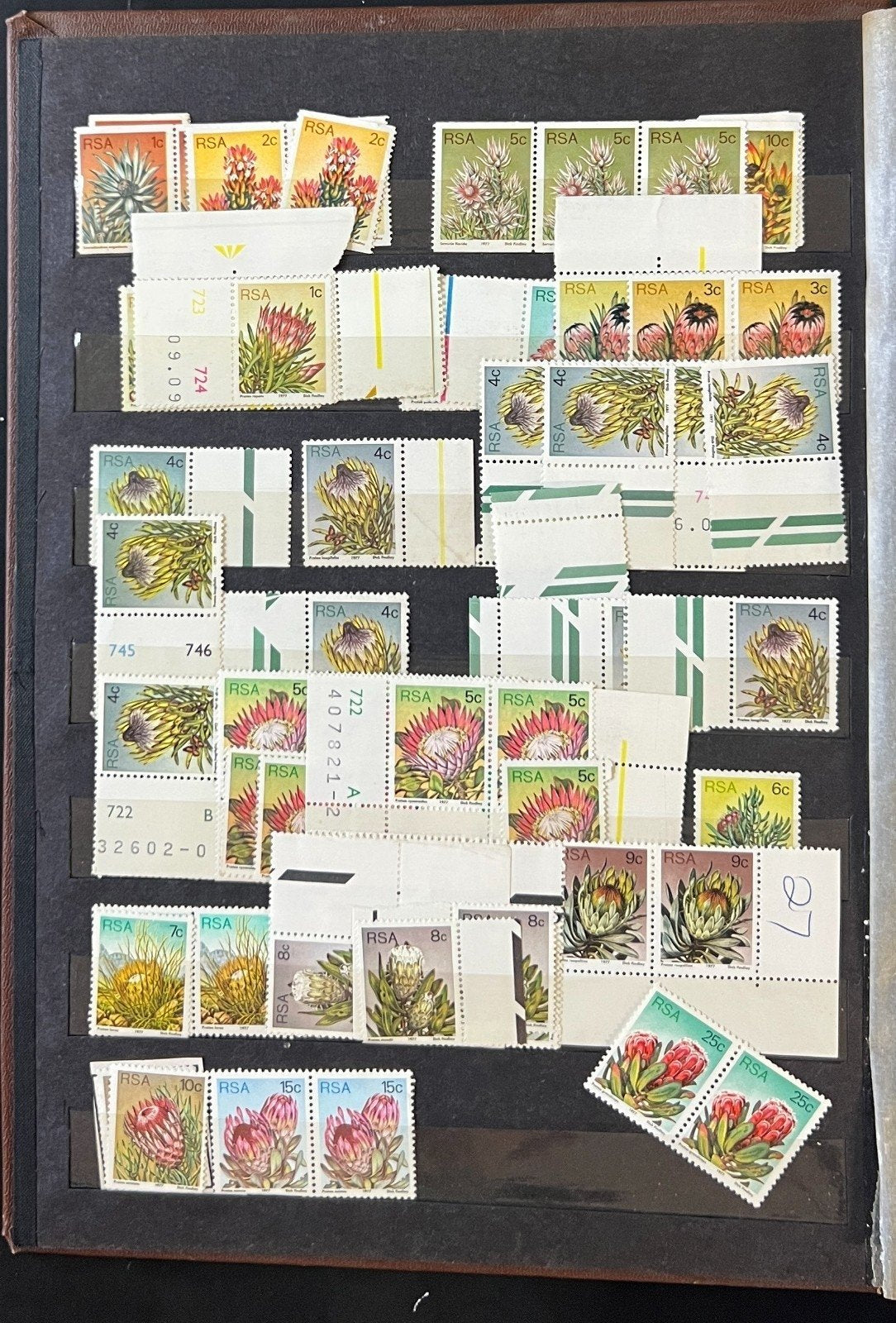 Republic Of South Africa Stamp Collection Stockbook Mint & Used ZAYIX