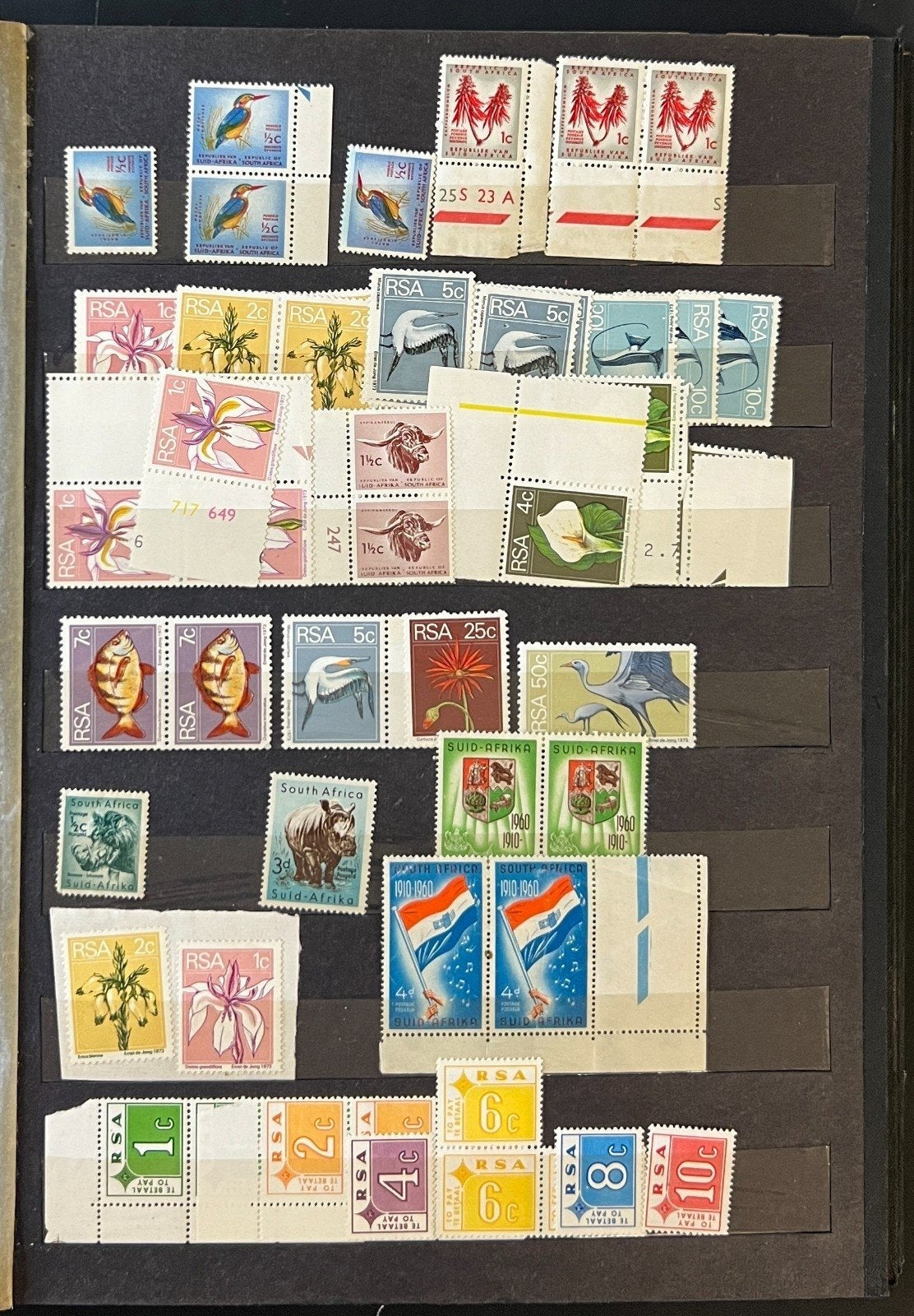 Republic Of South Africa Stamp Collection Stockbook Mint & Used ZAYIX