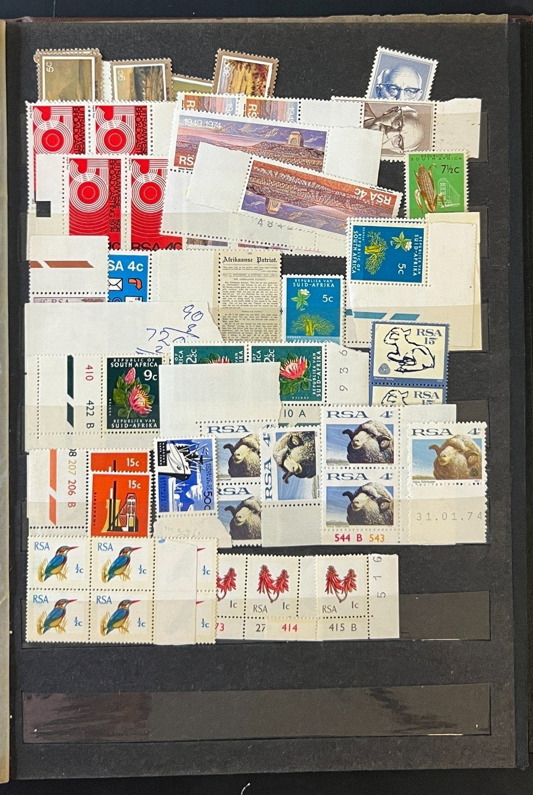 Republic Of South Africa Stamp Collection Stockbook Mint & Used ZAYIX