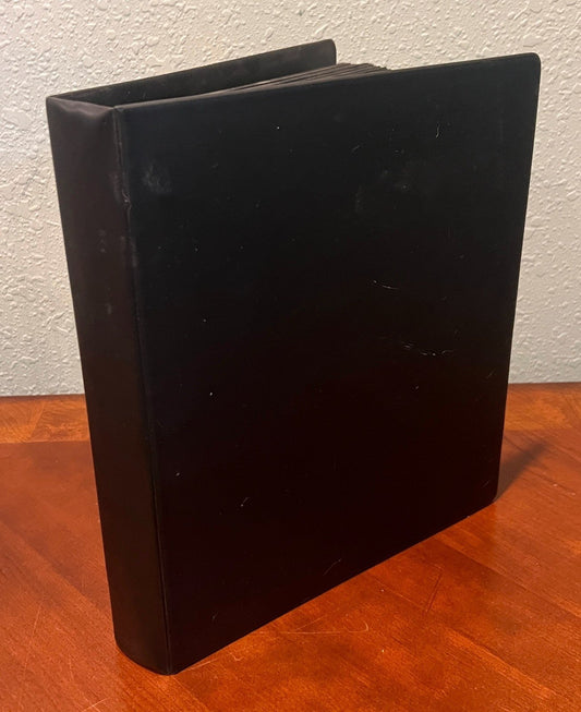 World Wide Stamp Collection 20 Pages Stock Book 500+ Stamps Mint & Used ZAYIX
