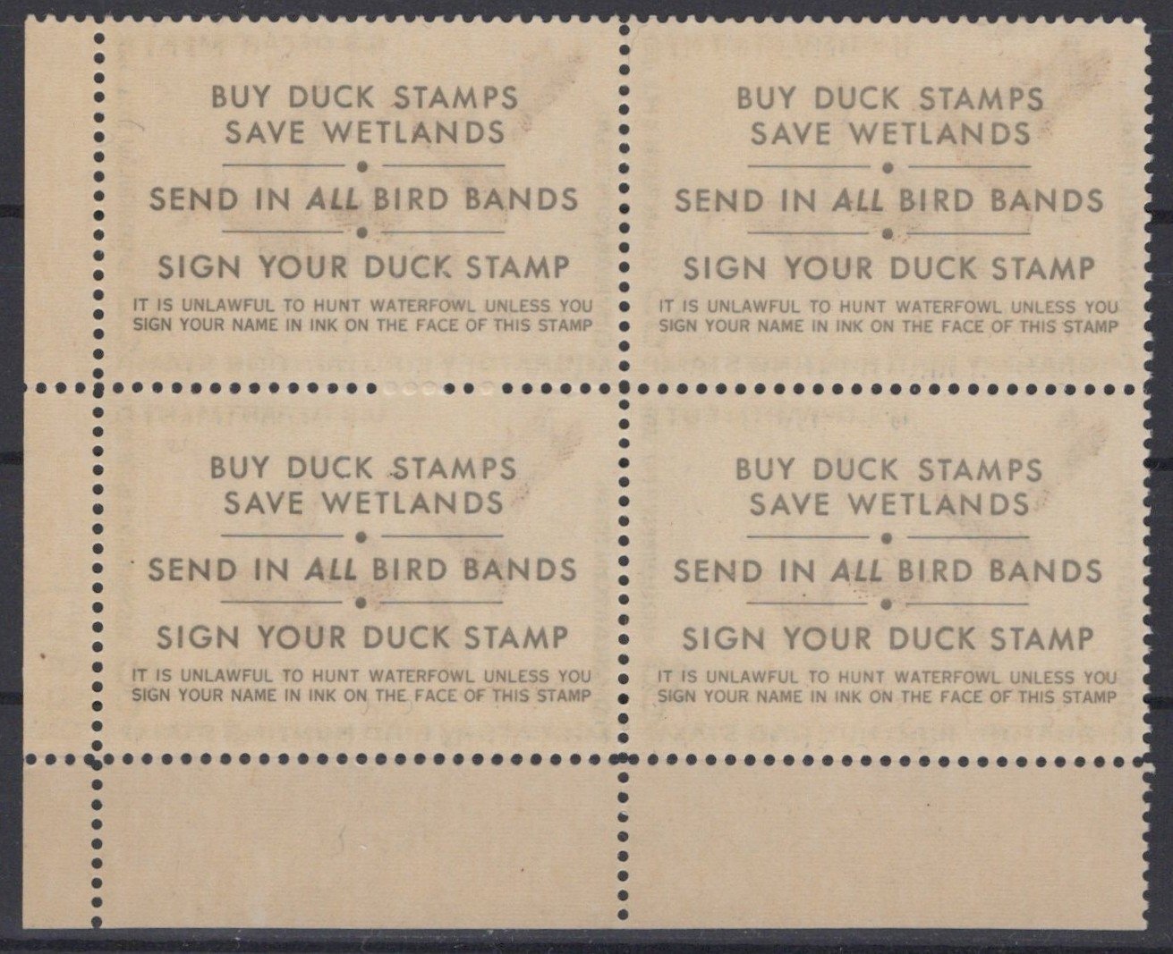 US 1971 Cinnamon Teal $3 Duck Stamp Plate Block Sc# RW38 MNH VF, P# 171586 ZAYIX