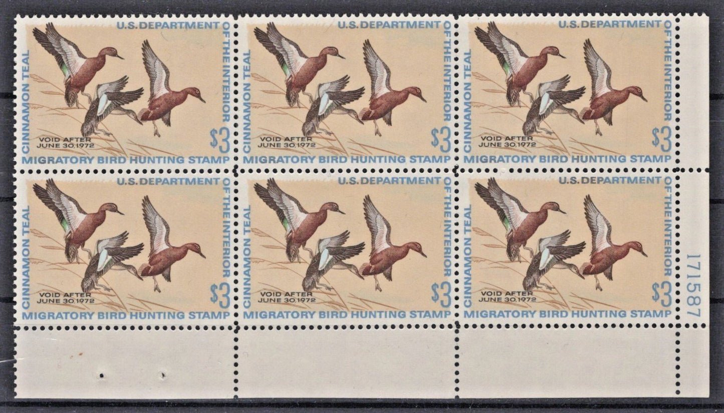 US 1971 Cinnamon Teal $3 Duck Hunting Stamp Plate Block of 6 RW38 MNH VF ZAYIX