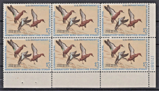 US 1971 Cinnamon Teal $3 Duck Hunting Stamp Plate Block of 6 RW38 MNH VF ZAYIX