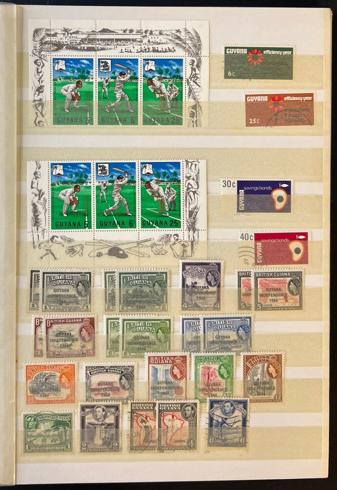 British Commonwealth Stamp Collection Stockbook Mint & Used 24Pages ZAYIX