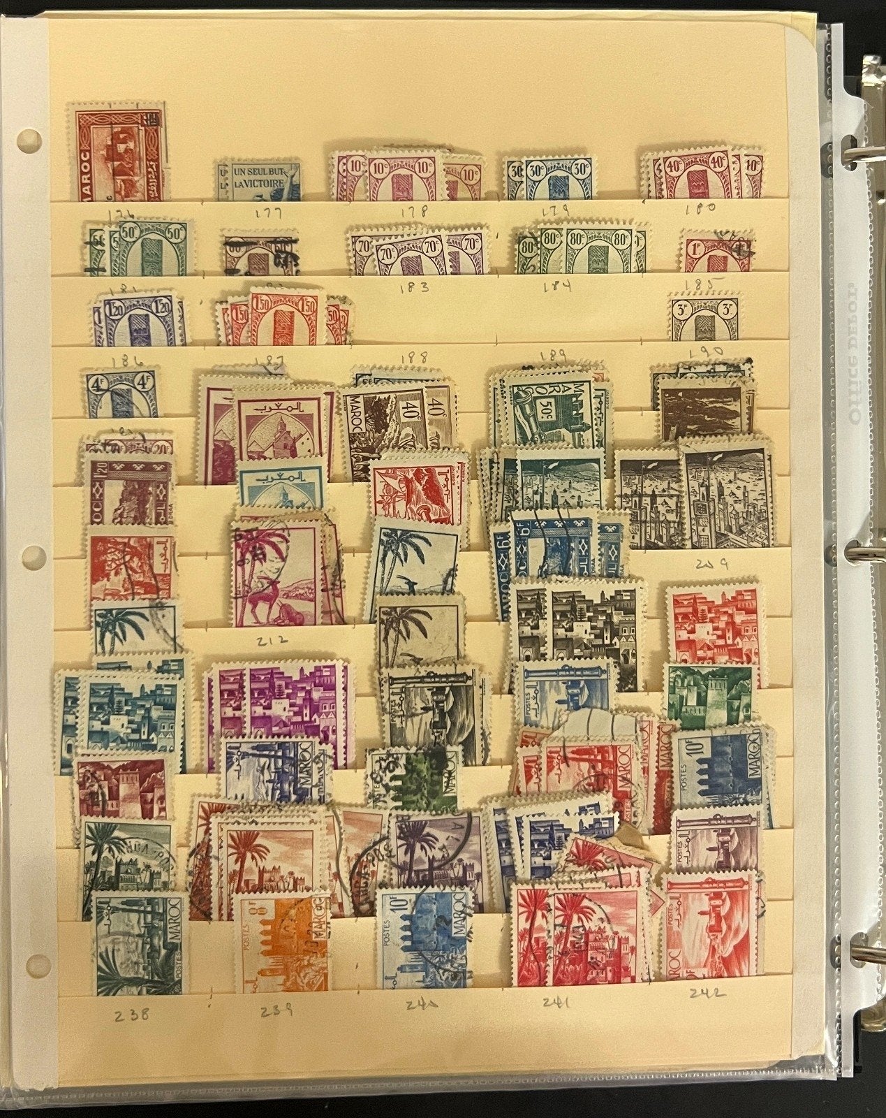 World Wide Overprinted Stamps Collection Album Over 75 Stockpages  ZAYIX