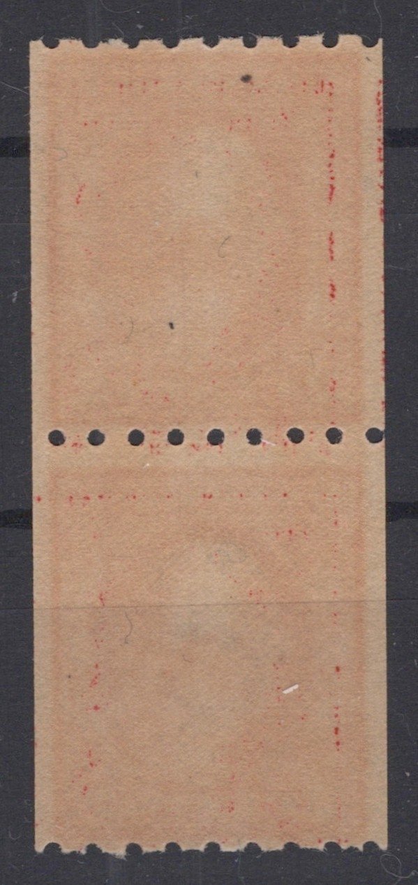 US 1912 2c Washington 411 VF Coil Pair Perf 8 1/2 MNH ZAYIX
