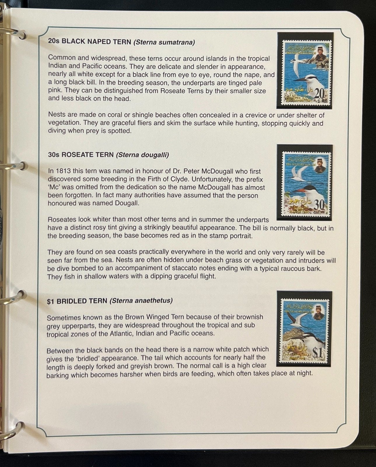 The Kingdom of Birds Stamp Collection 3 Volume Harris Albums MNH ZAYIX