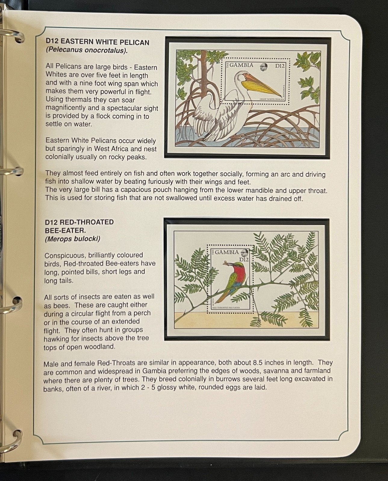 The Kingdom of Birds Stamp Collection 3 Volume Harris Albums MNH ZAYIX
