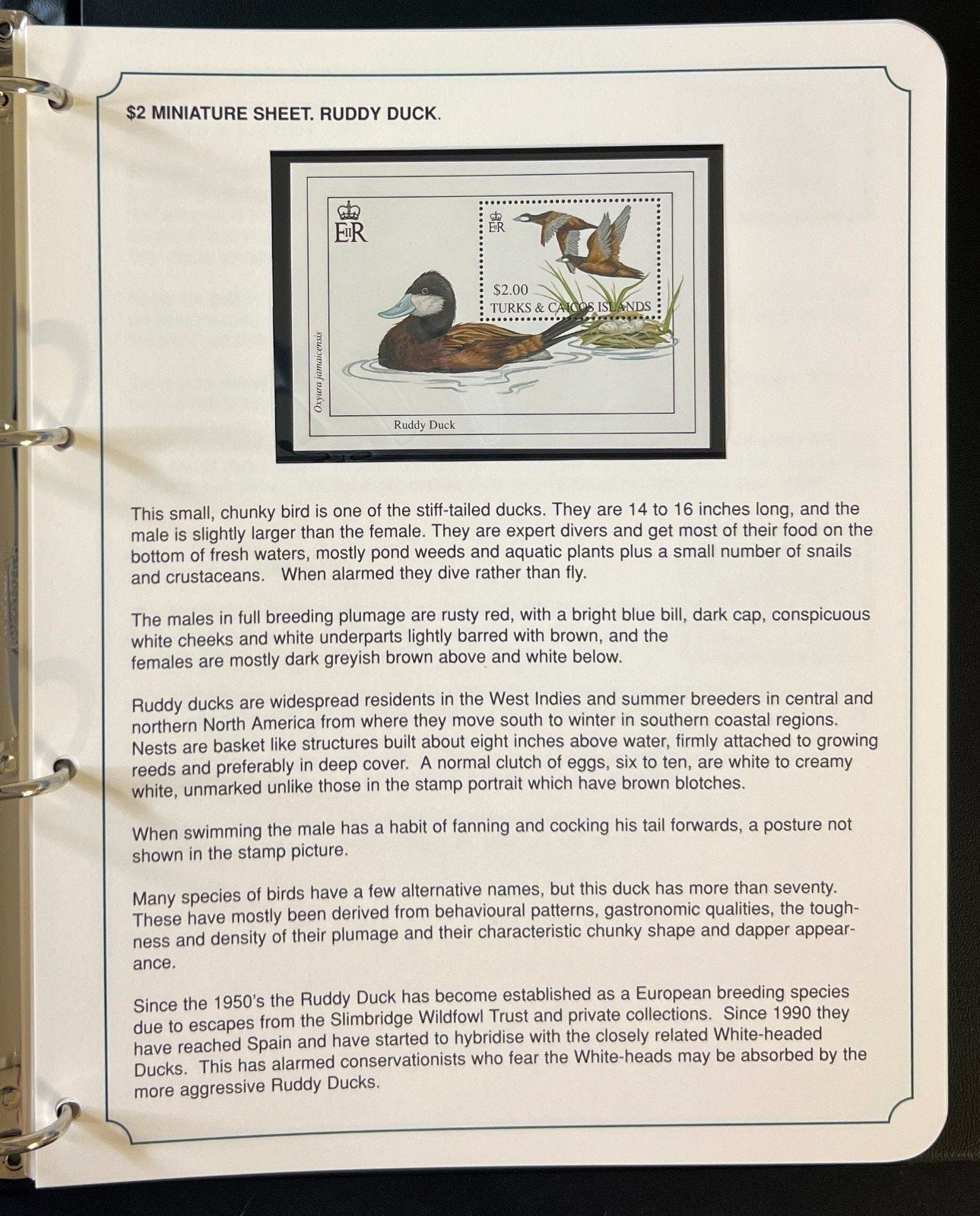 The Kingdom of Birds Stamp Collection 3 Volume Harris Albums MNH ZAYIX