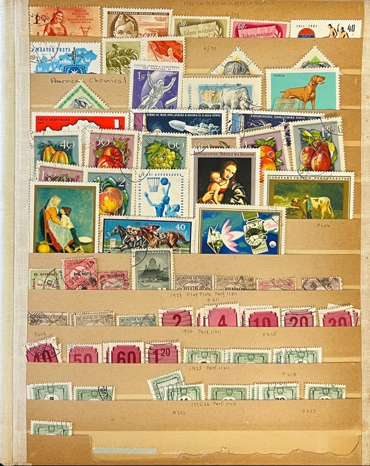 World Wide Stamp Collection On 15 Stock Pages Mint & Used ZAYIX