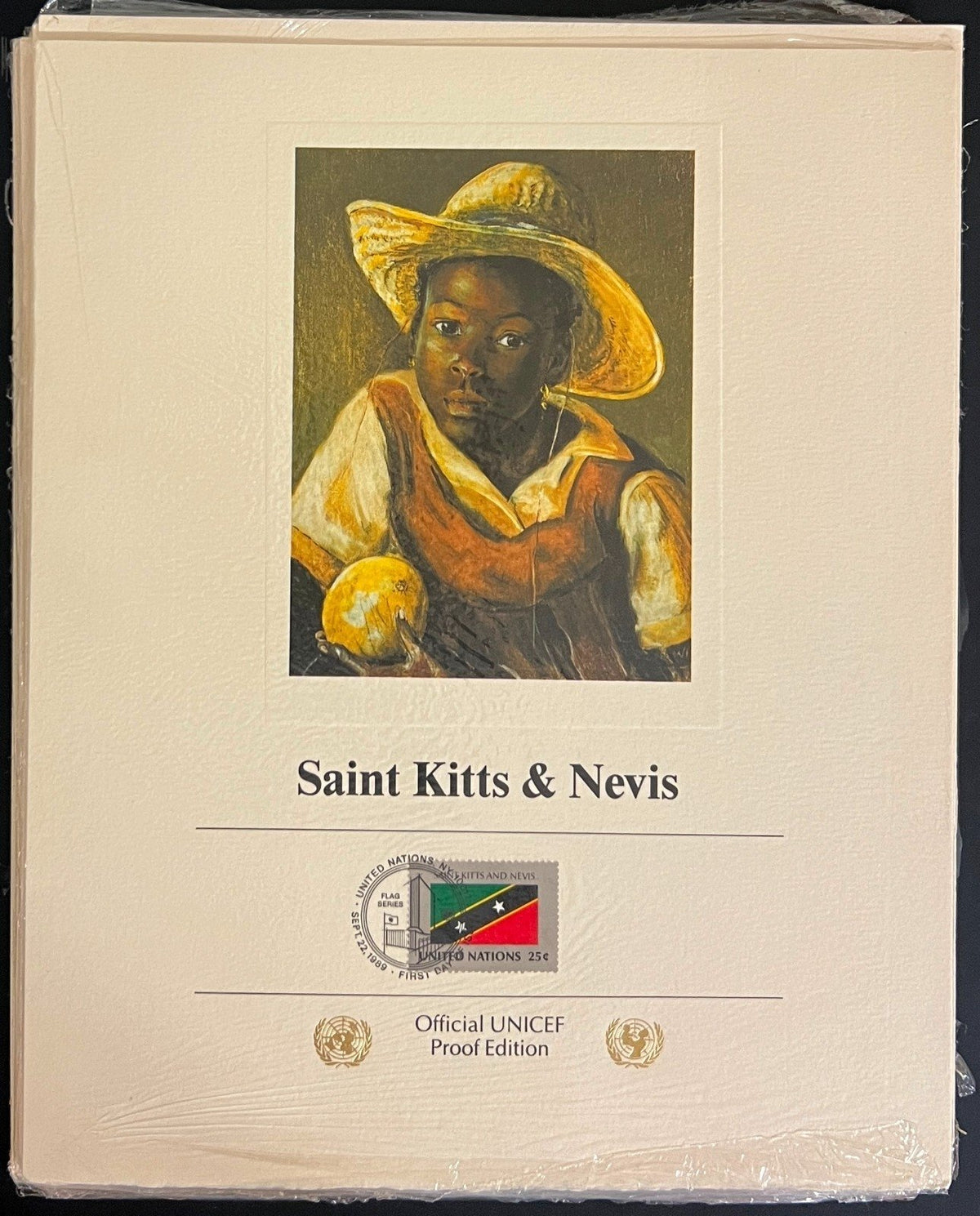 United Nations Official UNICEF Proof Edition Flags Of Nations Collection ZAYIX