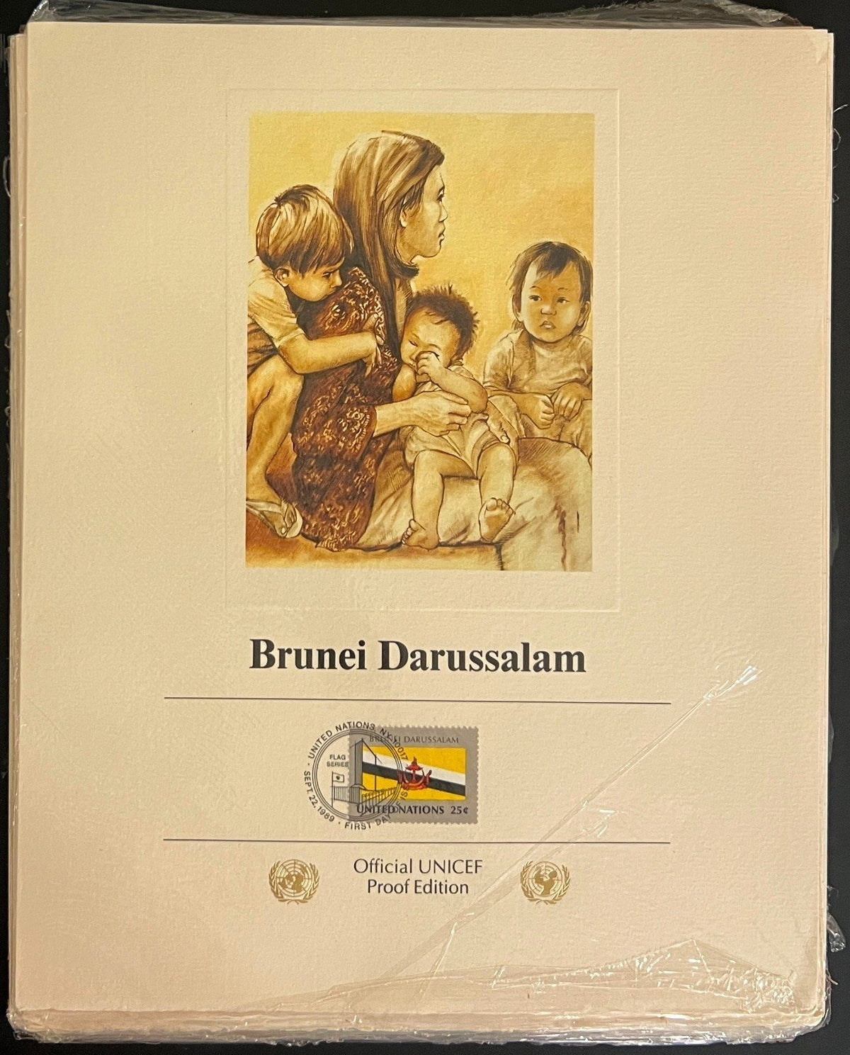 United Nations Official UNICEF Proof Edition Flags Of Nations Collection ZAYIX