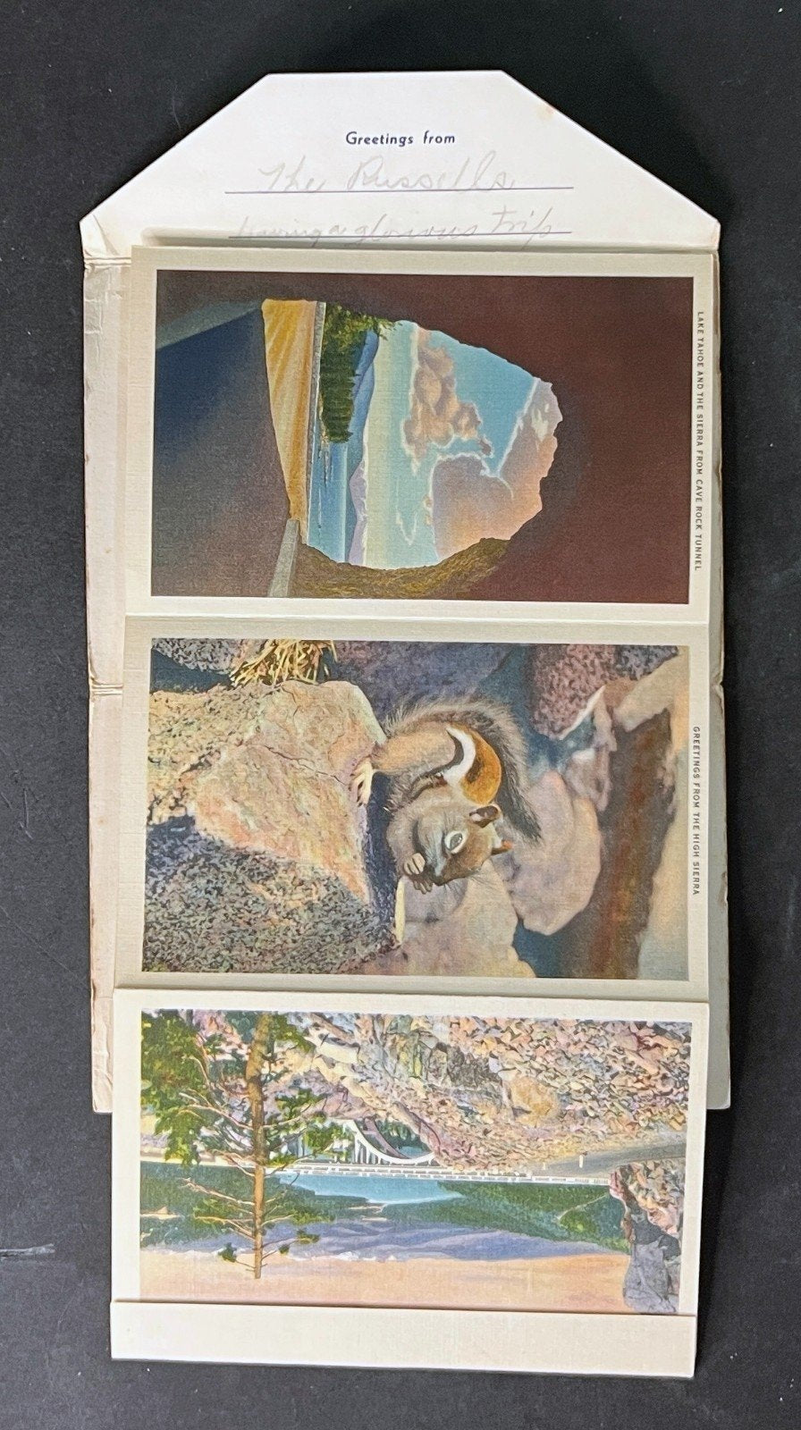 United States California Postcard Folio Collection 12 Folios 1920-1950s ZAYIX