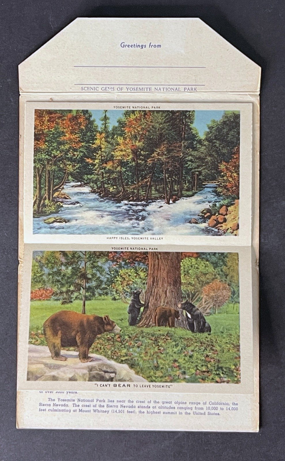 United States California Postcard Folio Collection 12 Folios 1920-1950s ZAYIX