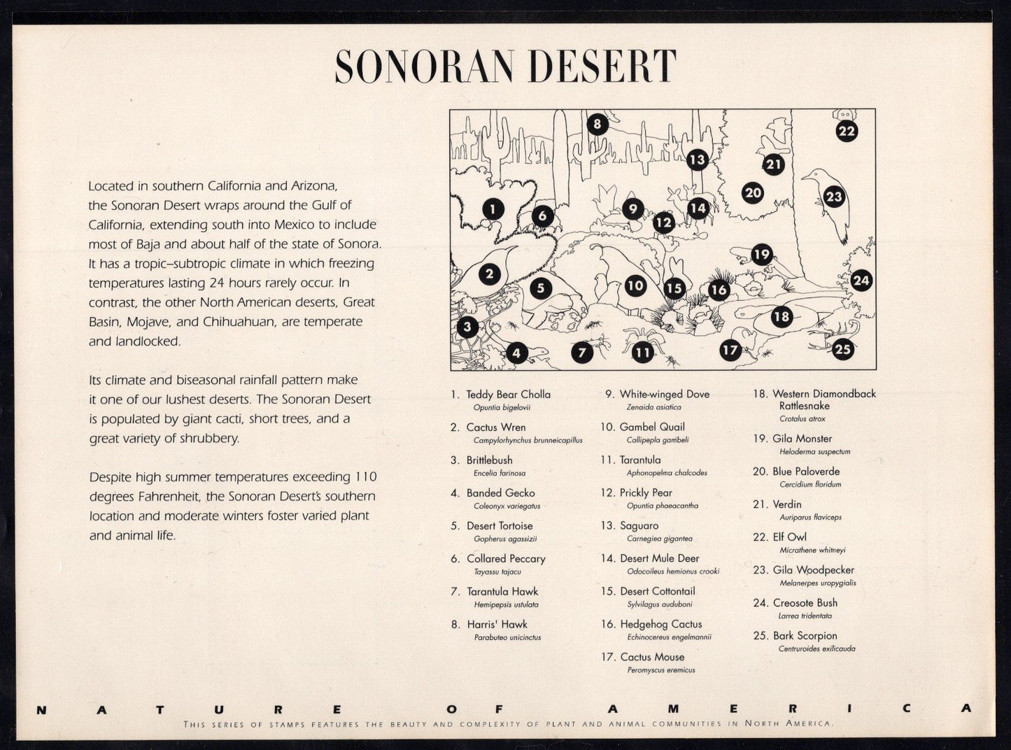US 3293 Mint Sheet (MNH) Sonoran Desert Miniature Sheet 33-Cent 1999 ZAYIX
