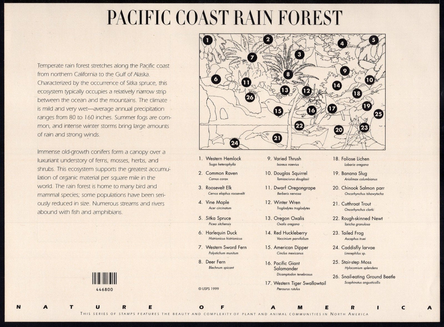 US 3378 Mint Sheet (MNH) Pacific Coast Rain Forest 33-Cent 2000 ZAYIX