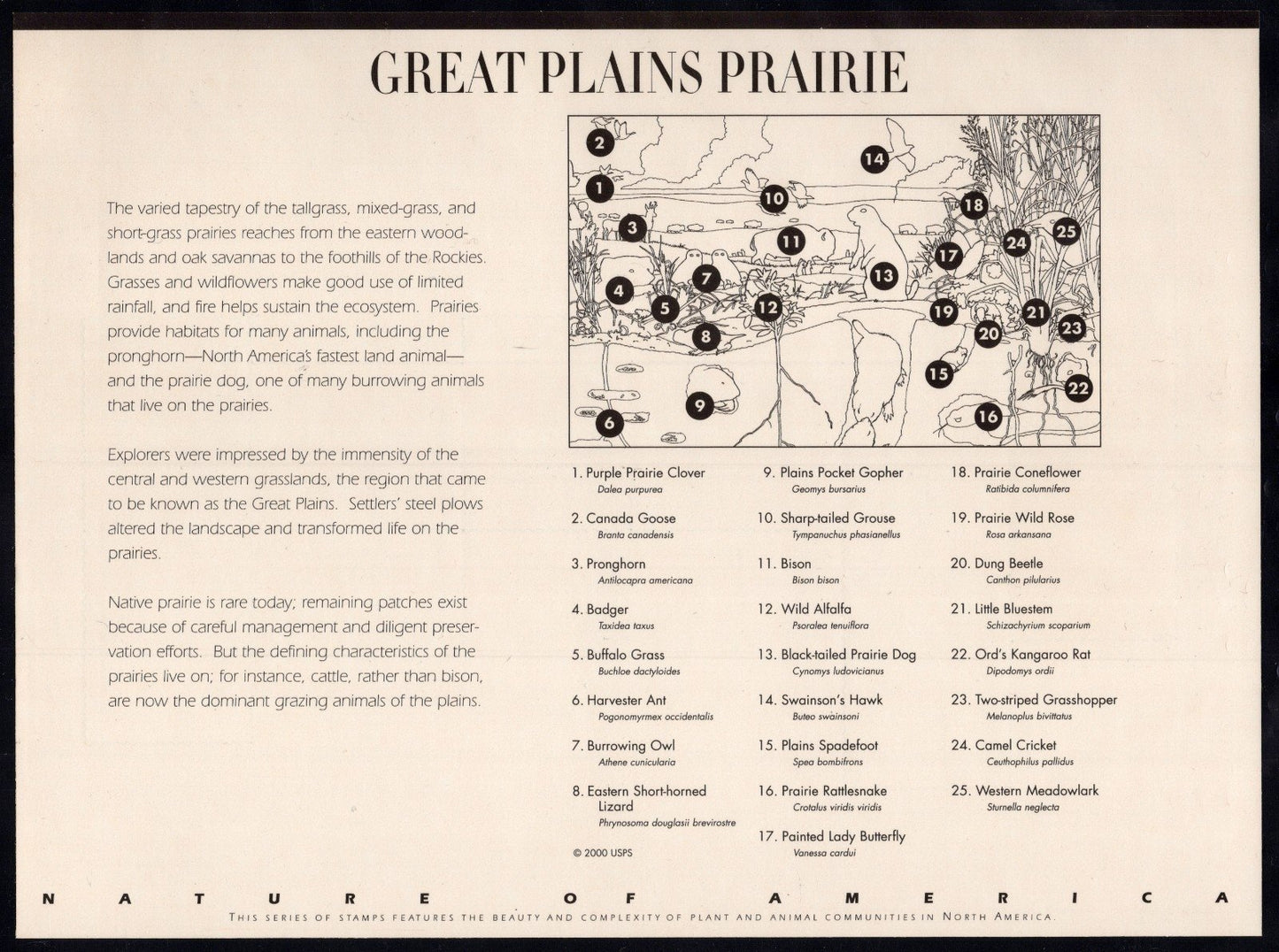 US 3506 Mint Sheet (MNH) Great Plains Prairie Miniature Sheet 34-Cent 2001 ZAYIX