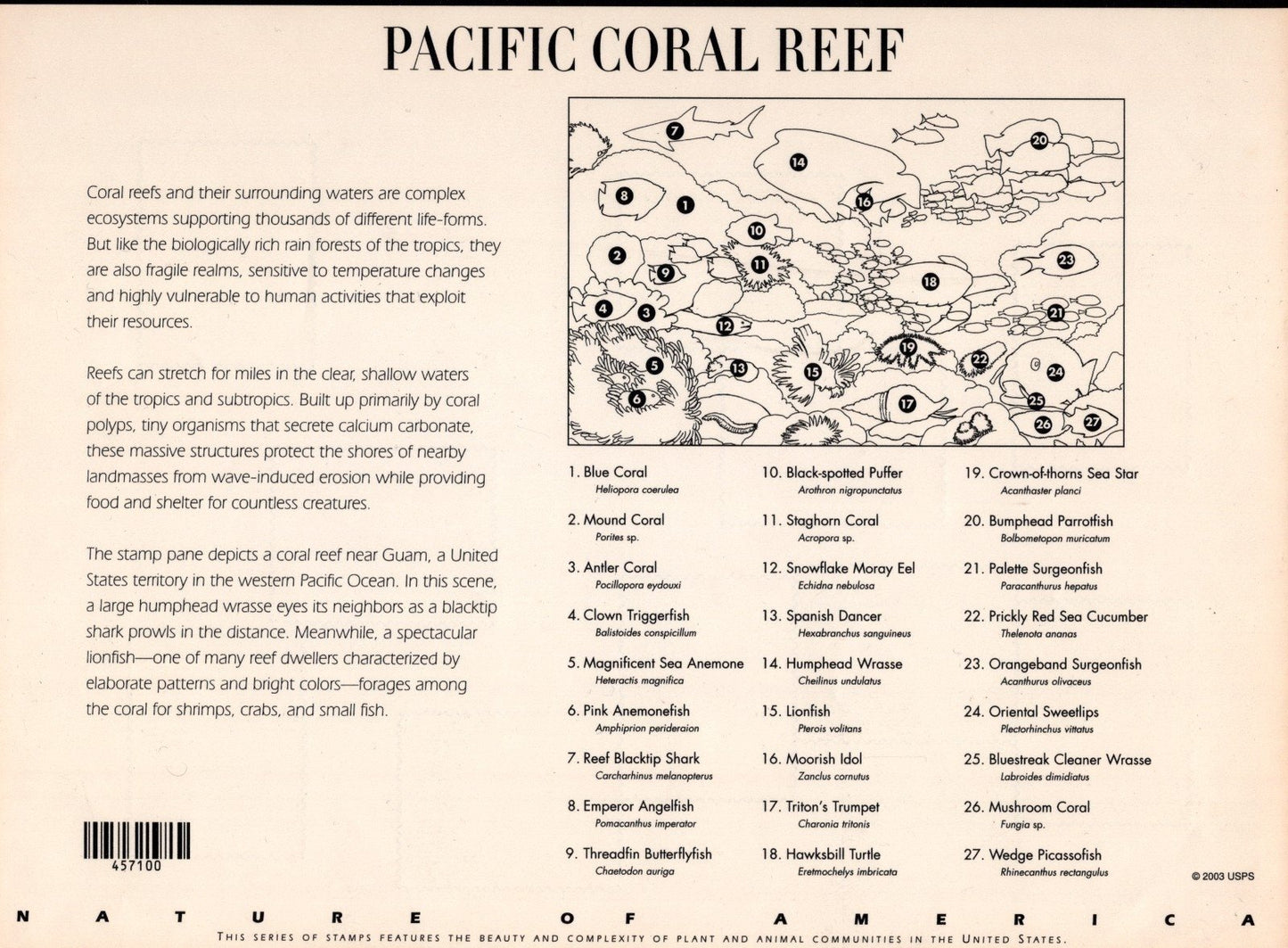 US 3831 Mint Sheet (MNH) Pacific Coral Reefs miniature Sheet 37-Cent 2004 ZAYIX