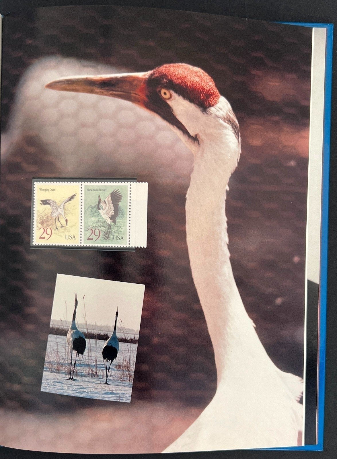 United States 1994 Commemorative Stamp Yearbook Hard Cover Mint Sets ZAYIX