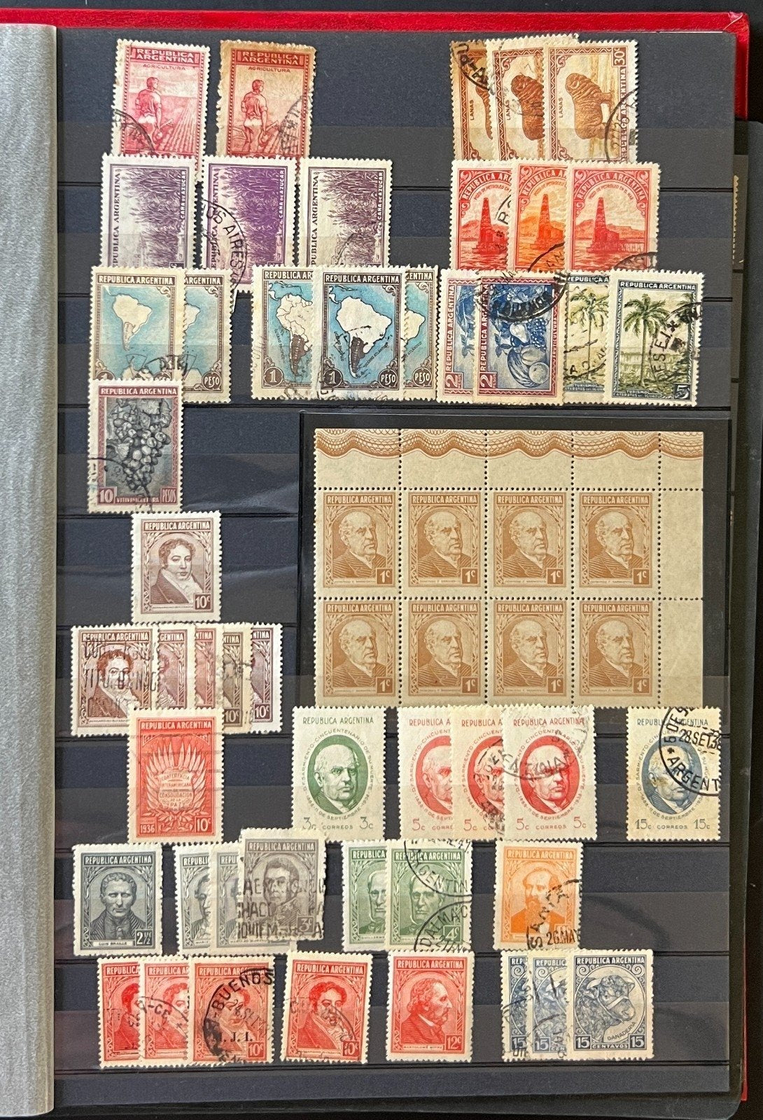 Argentina Stamp Collection Stockbook 18 Pages Mint & Used ZAYIX