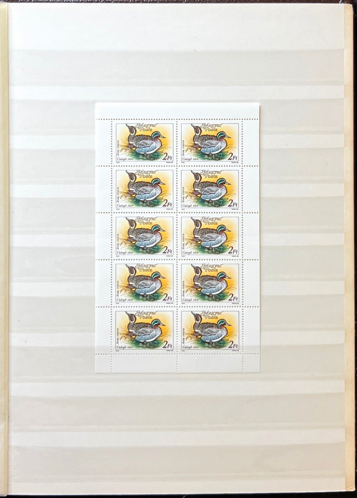 World Wide Assorted Stamp Collection Lighthouse Stockbook MNH ZAYIX