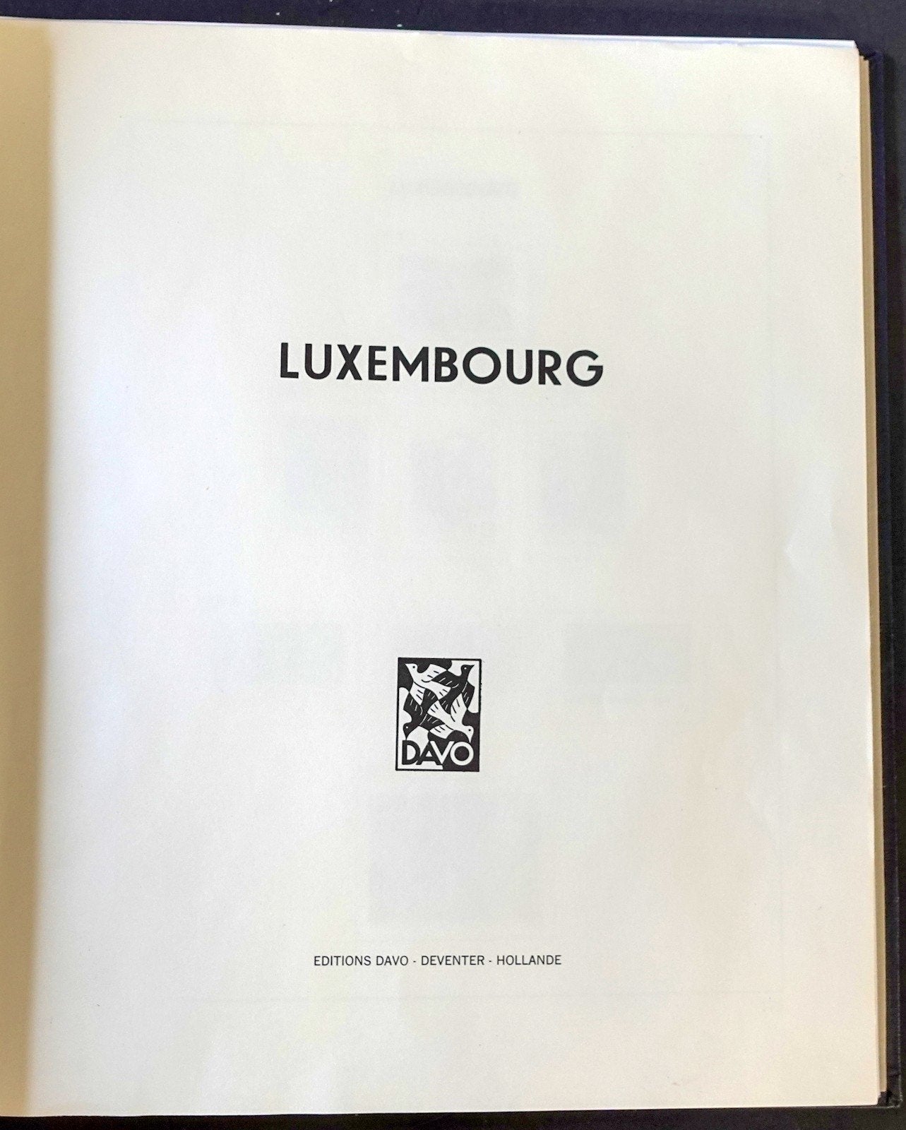 Luxembourg 2017-2019 Davo Hingeless Stamp Album ZAYIX