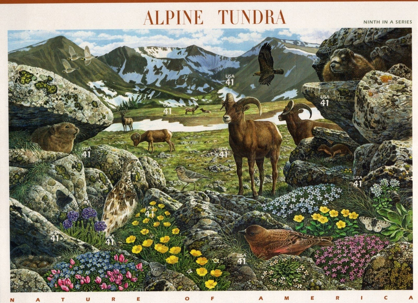 US 4198 Mint Sheet (MNH) Alpine Tundra Miniature Sheet 41-Cent 2007 ZAYIX