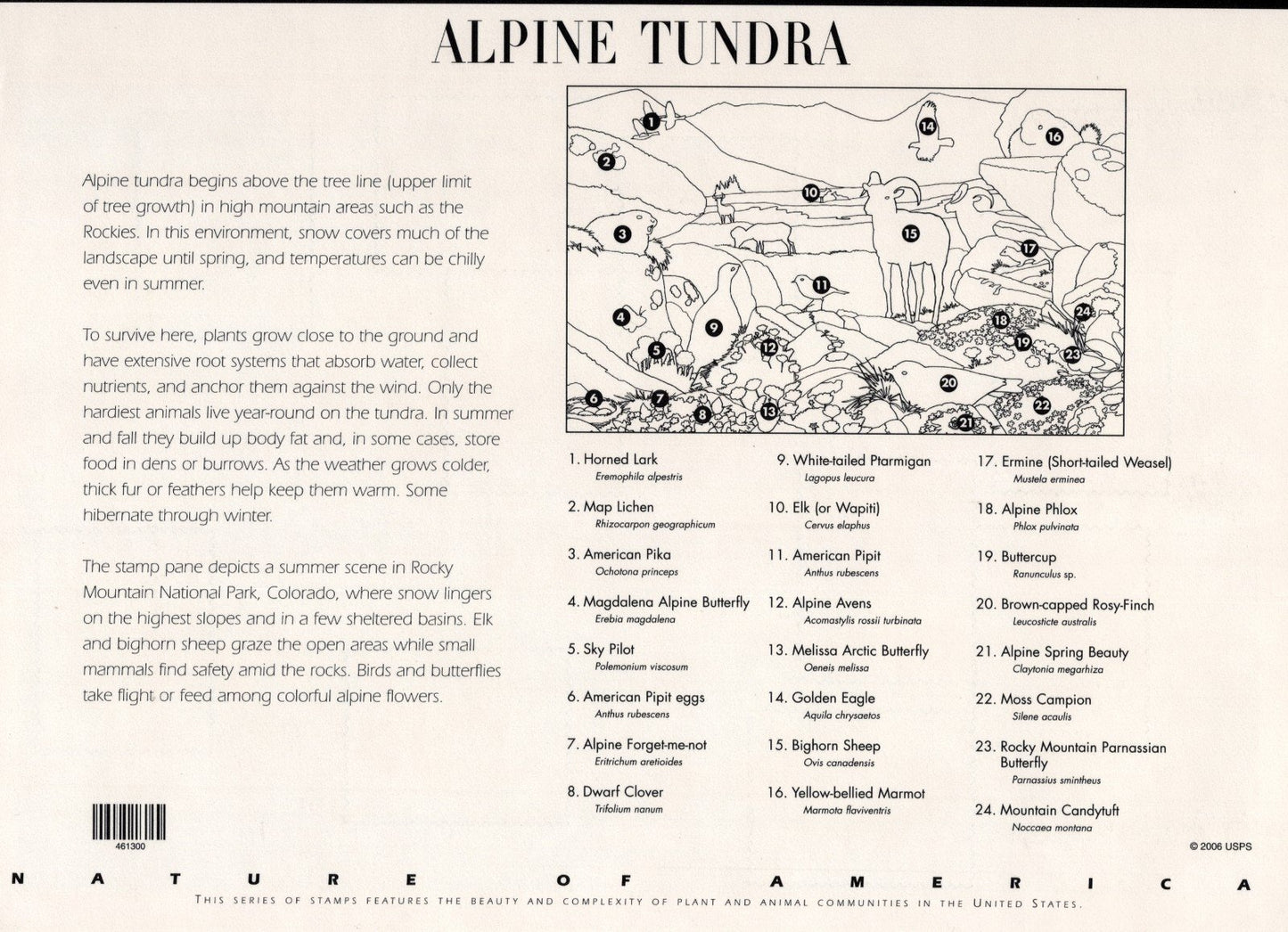 US 4198 Mint Sheet (MNH) Alpine Tundra Miniature Sheet 41-Cent 2007 ZAYIX
