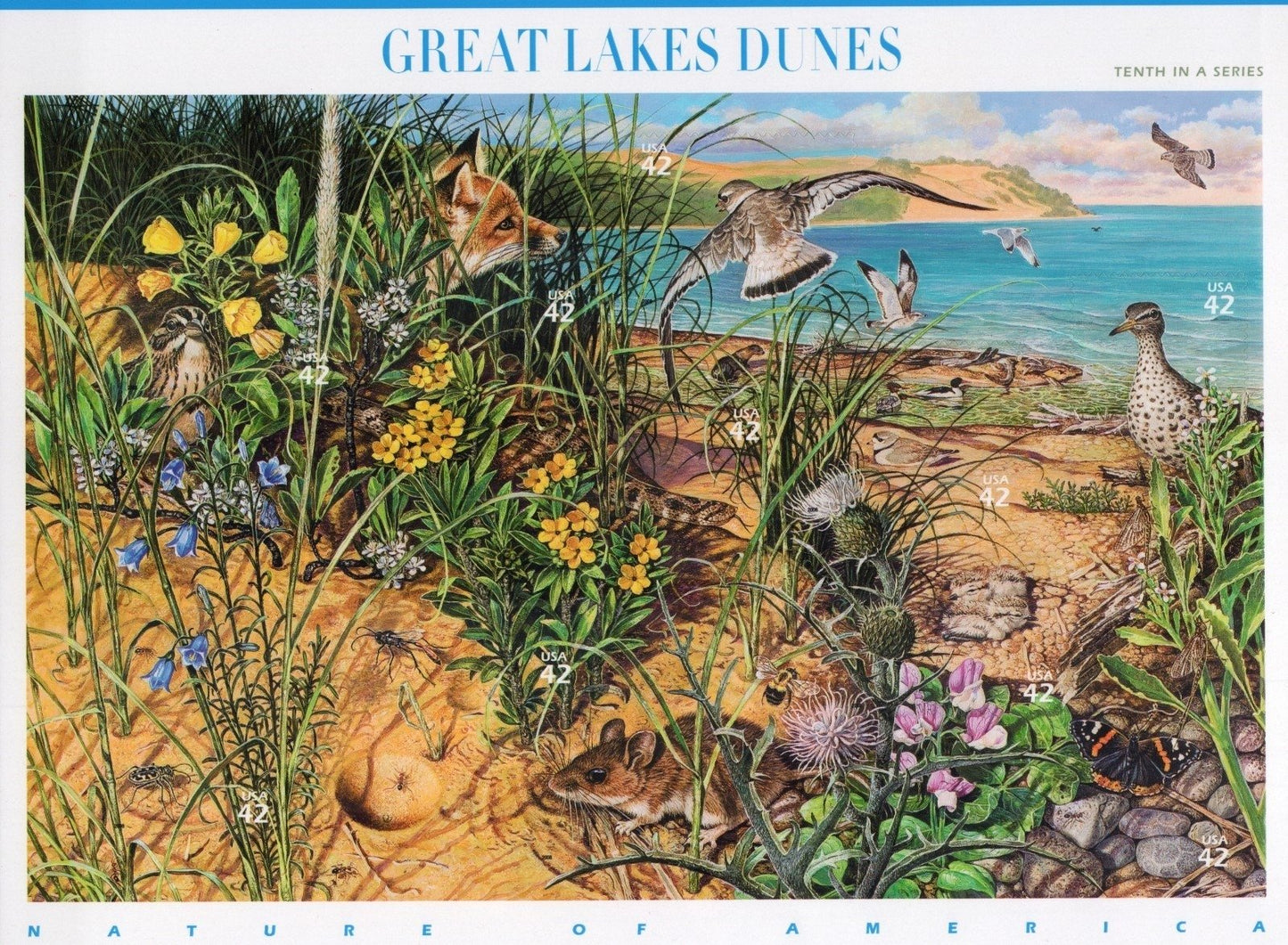 US 4352 Mint Sheet (MNH) Great lakes Dunes Miniature Sheet 42-Cent 2008 ZAYIX
