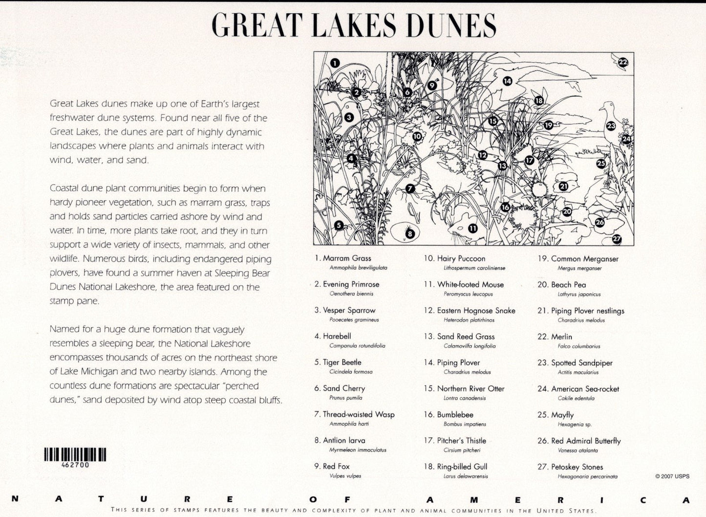 US 4352 Mint Sheet (MNH) Great lakes Dunes Miniature Sheet 42-Cent 2008 ZAYIX