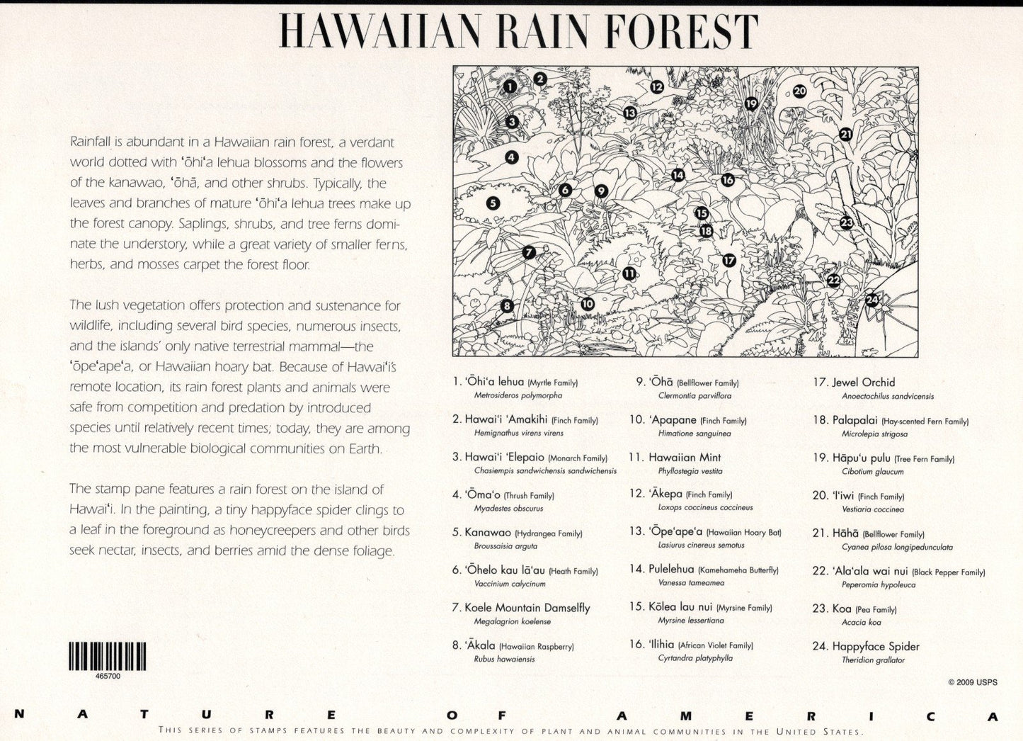US 4474 Mint Sheet (MNH) Hawaiian Rain Forest Miniature Sheet 44-Cent 2010 ZAYIX