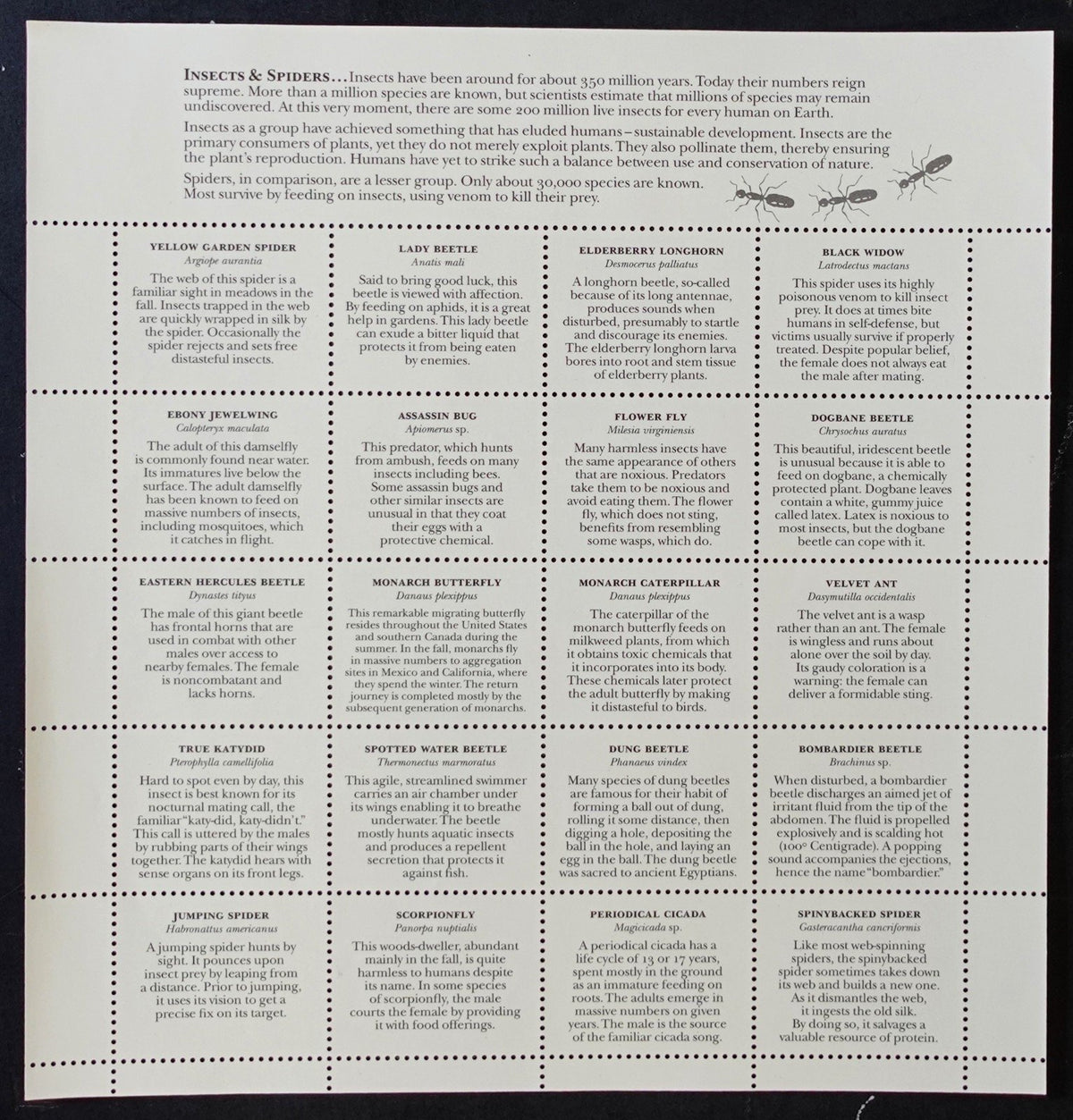 US 3351 Mint Sheet (MNH) Insects & Spiders 33-Cent 1999 ZAYIX