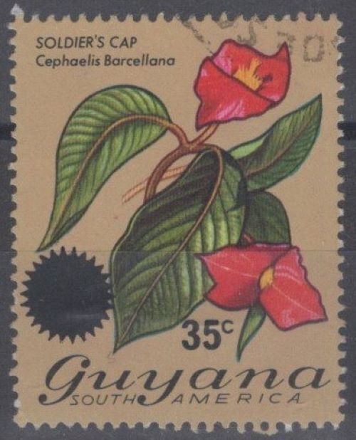 ZAYIX Guyana 234 Used - Soldier's Cap Flower overprint 111422-S02M