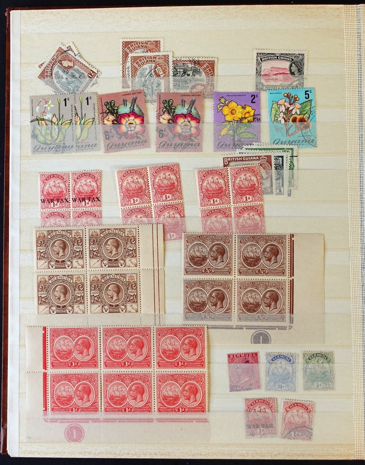 British Commonwealth & Hong Kong Stamp Collection Stockbook 700 Stamps ZAYIX