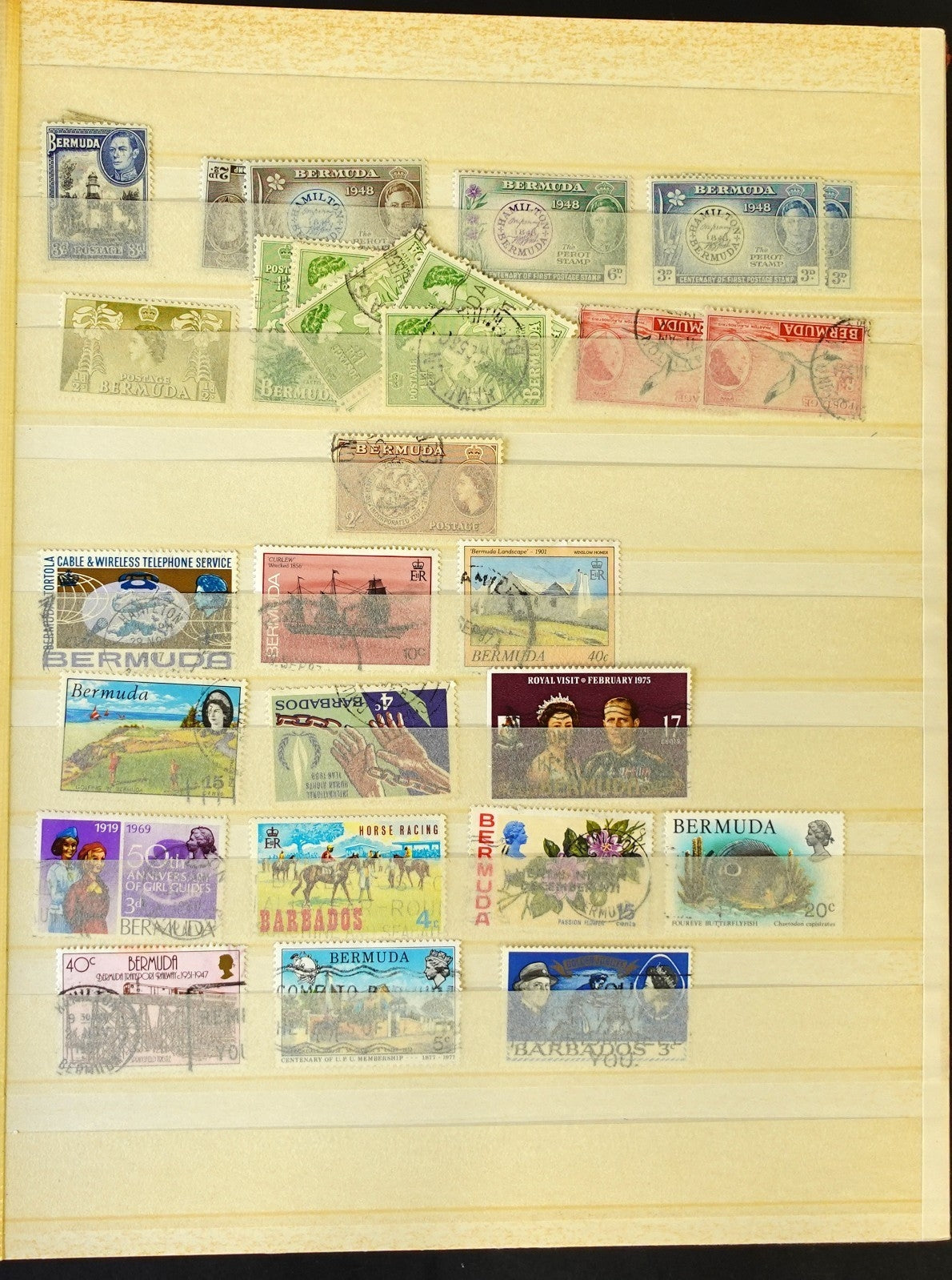British Commonwealth & Hong Kong Stamp Collection Stockbook 700 Stamps ZAYIX