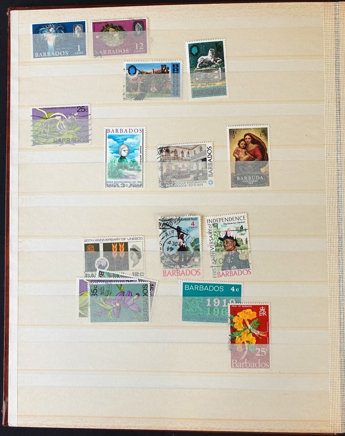 British Commonwealth & Hong Kong Stamp Collection Stockbook 700 Stamps ZAYIX