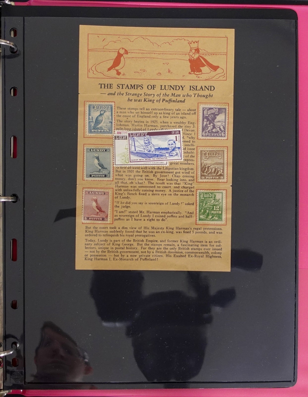 Lundy Island Comprehensive Local Post Specialized Stamp Collection Album ZAYIX