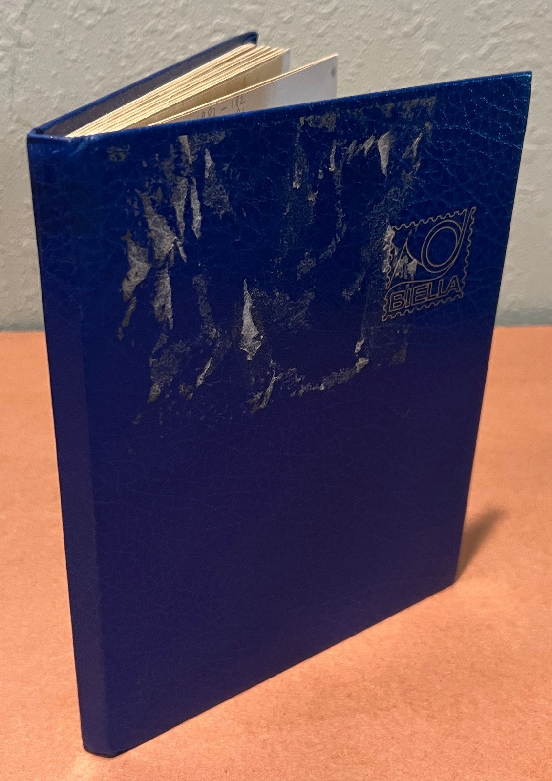 German States & Offices Danzig Saar Stamp Collection Stockbook Mint & Used ZAYIX