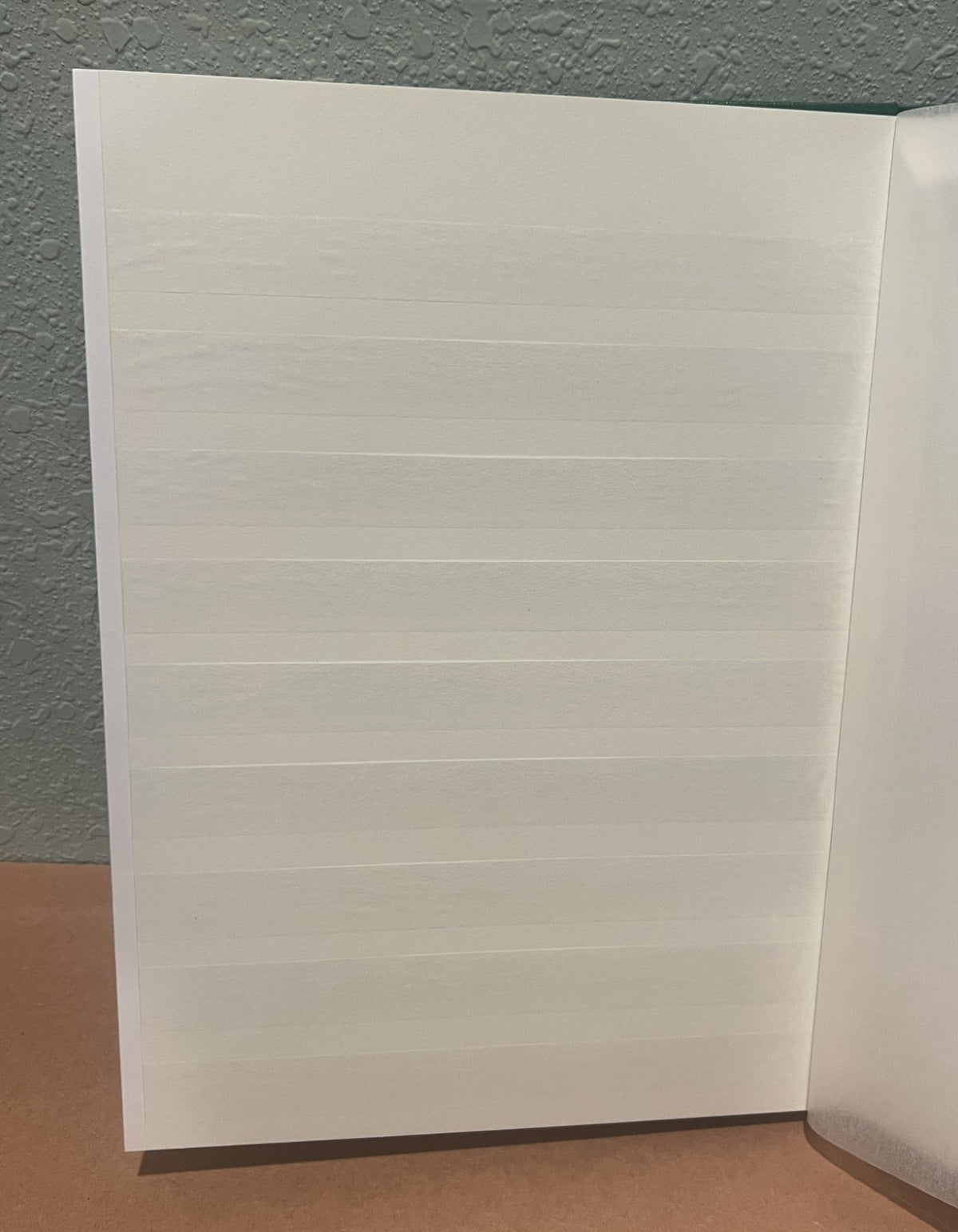 Lighthouse Stockbook White Pages Glassine Interleaves ZAYIX