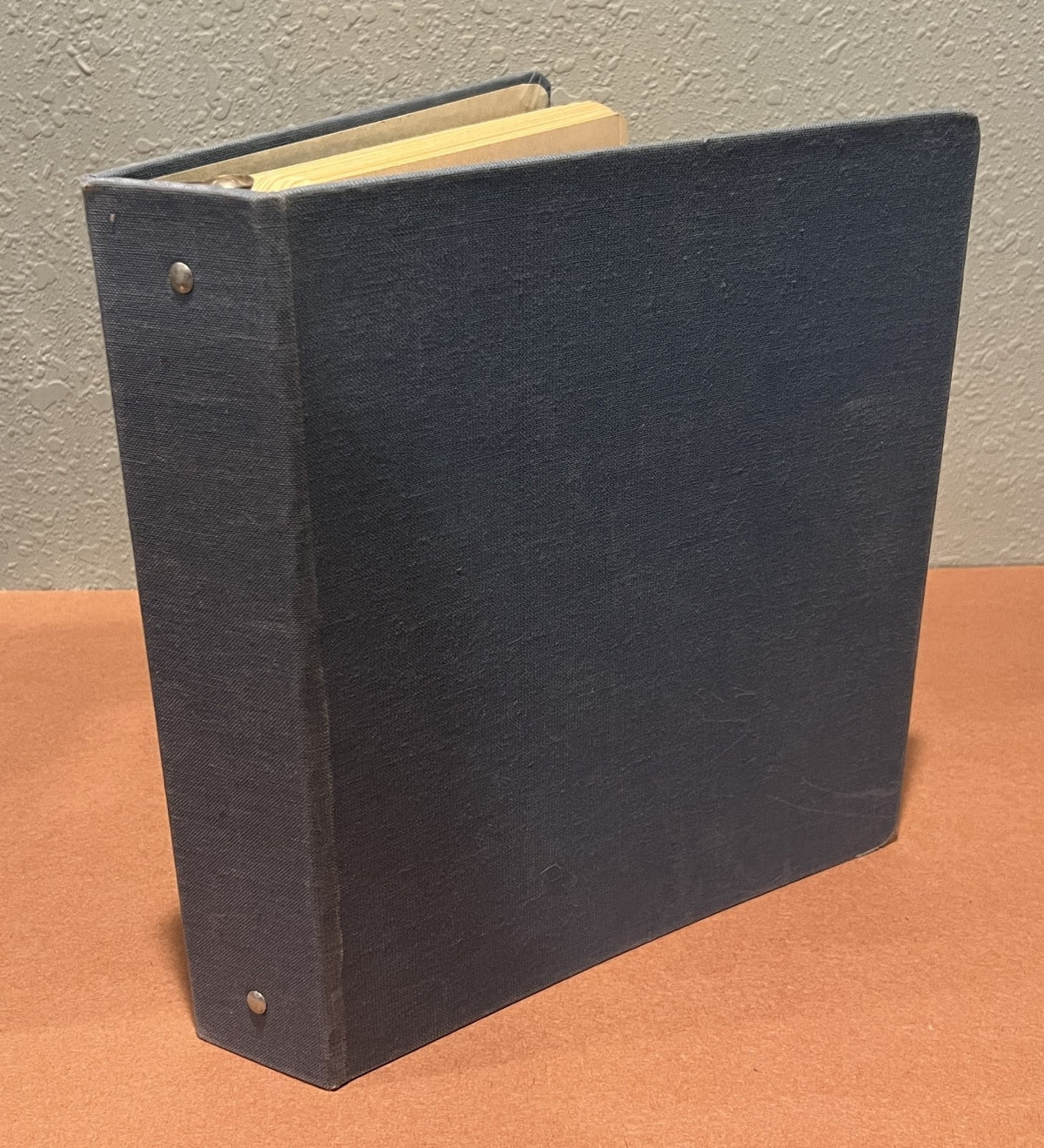 Stamp Stockbook 33 Stock Pages For Stamp Collecting ZAYIX