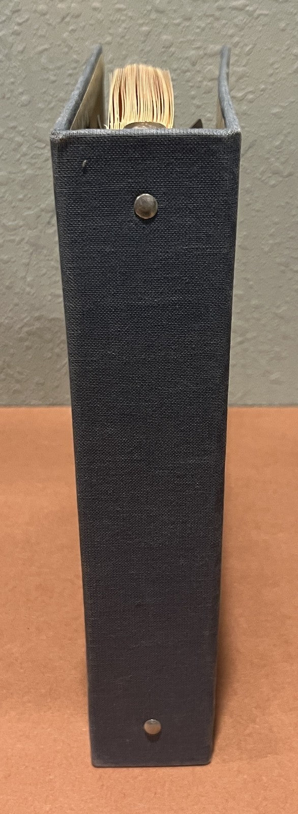Stamp Stockbook 33 Stock Pages For Stamp Collecting ZAYIX