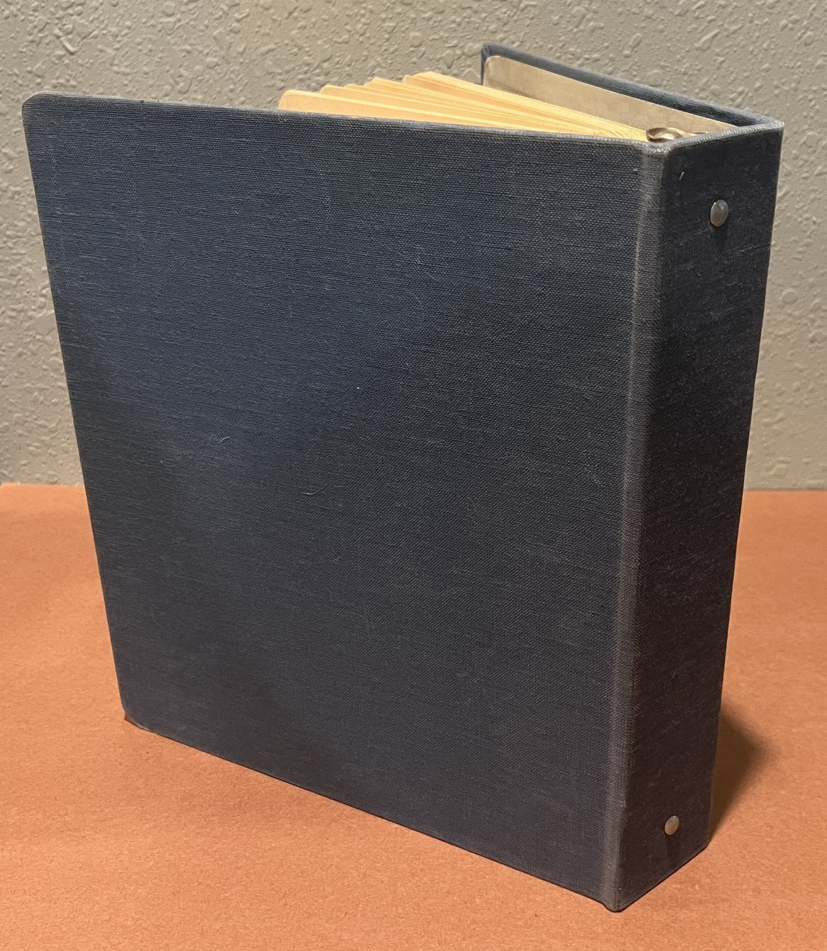 Stamp Stockbook 33 Stock Pages For Stamp Collecting ZAYIX